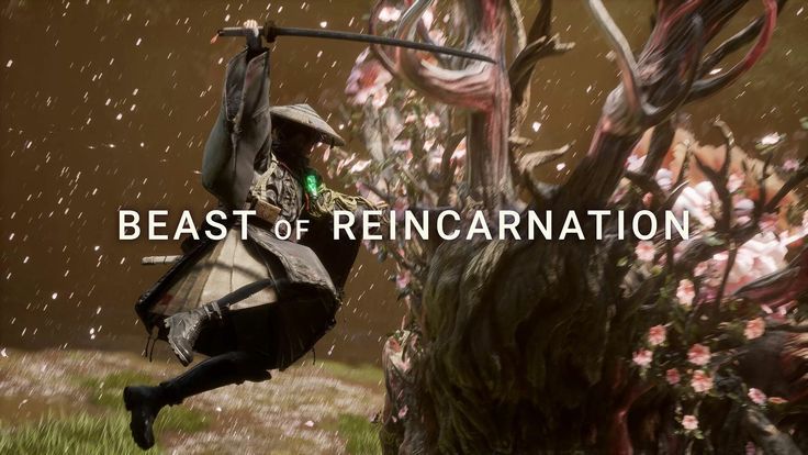Beast of Reincarnation