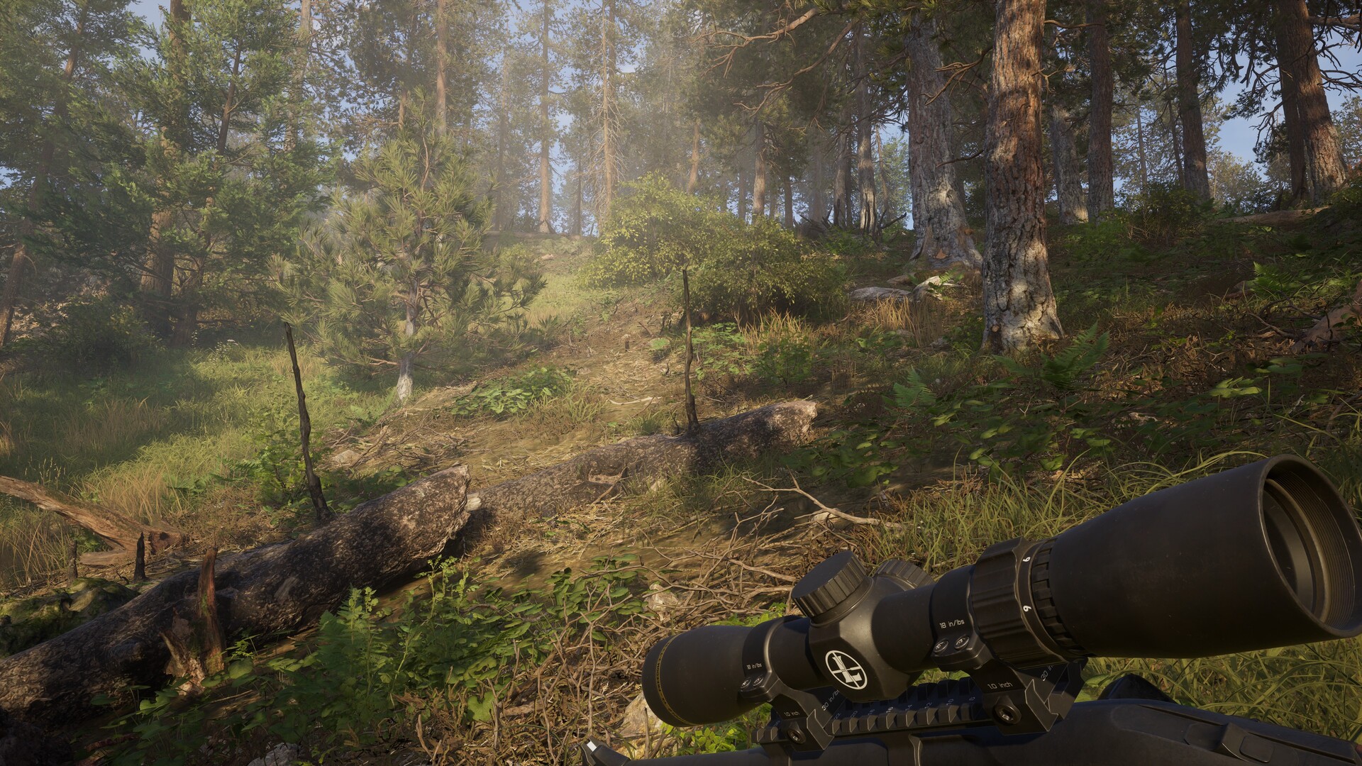 Way of the Hunter 2 – Steam Key Online